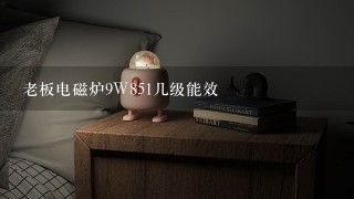 老板电磁炉9W851几级能效