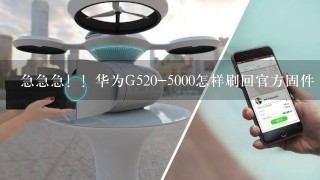 急急急！！华为G520-5000怎样刷回官方固件