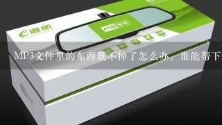 MP3文件里的东西删不掉了怎么办。谁能帮下忙