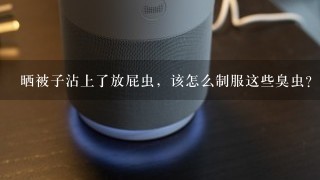 晒被子沾上了放屁虫，该怎么制服这些臭虫？很害怕这