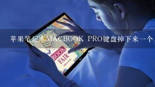 苹果笔记本MACBOOK PRO键盘掉下来一个，可以装在去