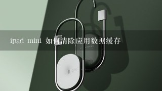 ipad mini 如何清除应用数据缓存