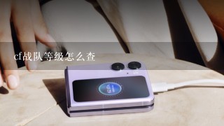 cf战队等级怎么查