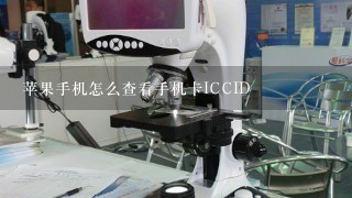 苹果手机怎么查看手机卡ICCID