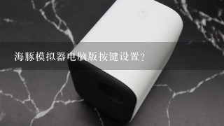 海豚模拟器电脑版按键设置?