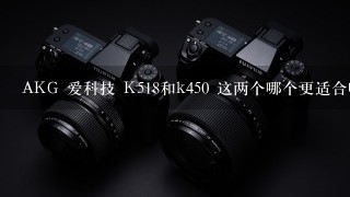 AKG 爱科技 K518和k450 这两个哪个更适合听嘻哈音乐