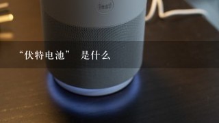 “伏特电池” 是什么