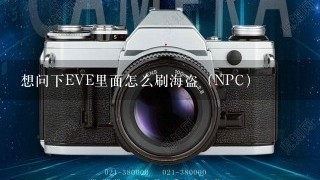 想问下EVE里面怎么刷海盗（NPC）