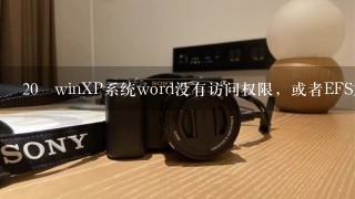 20 winXP系统word没有访问权限，或者EFS加密破解问题