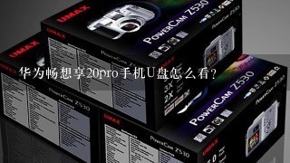 华为畅想享20pro手机U盘怎么看？