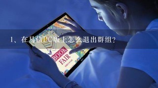 在易信PC版上怎么退出群组？