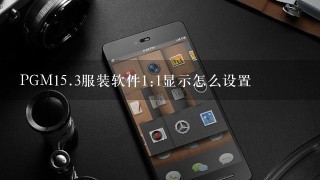 PGM<br/>15、3服装软件1:1显示怎么设置