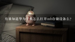 有谁知道华为手机怎么打开usb存储设备么？