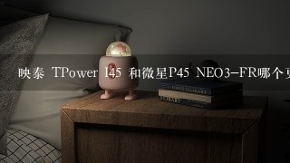 映泰 TPower I45 和微星P45 NEO3-FR哪个更值得选购?