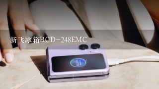 新飞冰箱BCD-248EMC