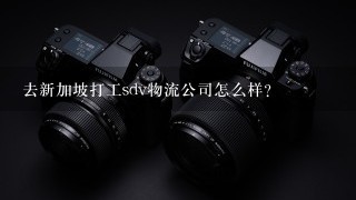 去新加坡打工sdv物流公司怎么样?