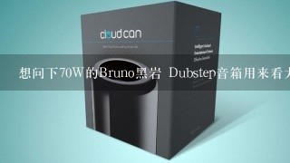 想问下70W的Bruno黑岩 Dubstep音箱用来看大片声场效果如何？？