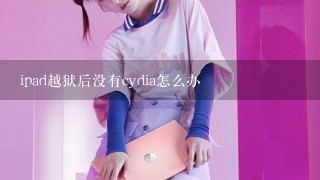 ipad越狱后没有cydia怎么办