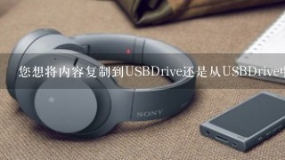 您想将内容复制到USBDrive还是从USBDrive中读取文件呢