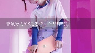 善领导力618是怎样一个品牌呢