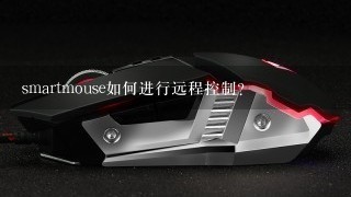 smartmouse如何进行远程控制?